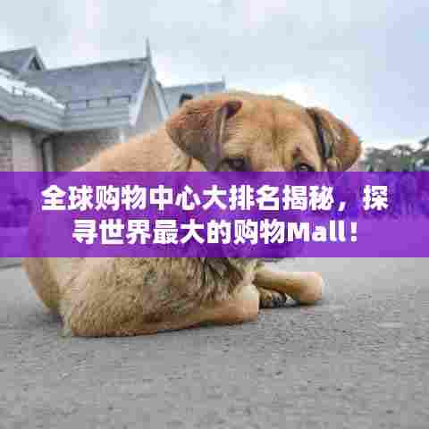全球购物中心大排名揭秘,探寻世界最大的购物Mall!