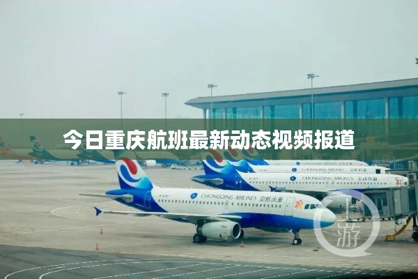 今日重庆航班最新动态视频报道