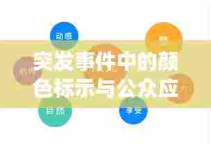突发事件中的颜色标示与公众应对策略,信息高效传达的关键