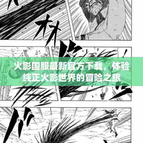 火影国服最新官方下载，体验纯正火影世界的冒险之旅