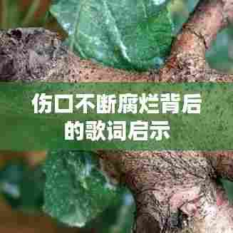 见仁见智 第5页