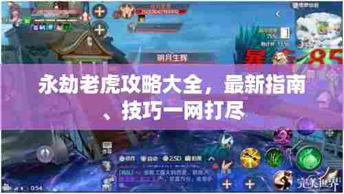 永劫老虎攻略大全，最新指南、技巧一网打尽