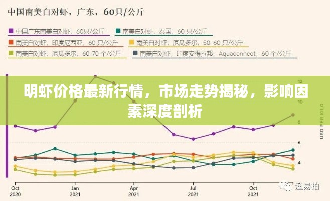 明虾价格最新行情，市场走势揭秘，影响因素深度剖析