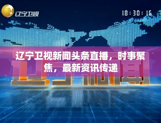 辽宁卫视新闻头条直播，时事聚焦，最新资讯传递