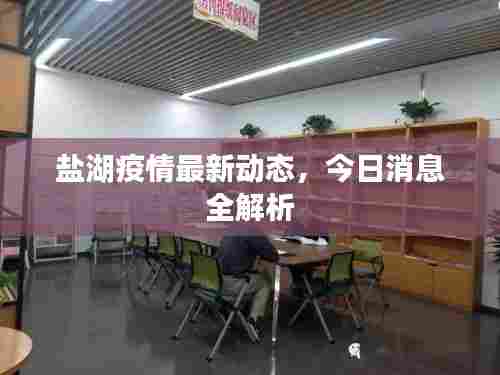 盐湖疫情最新动态，今日消息全解析