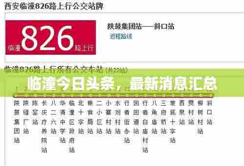 临潼今日头条,最新消息汇总
