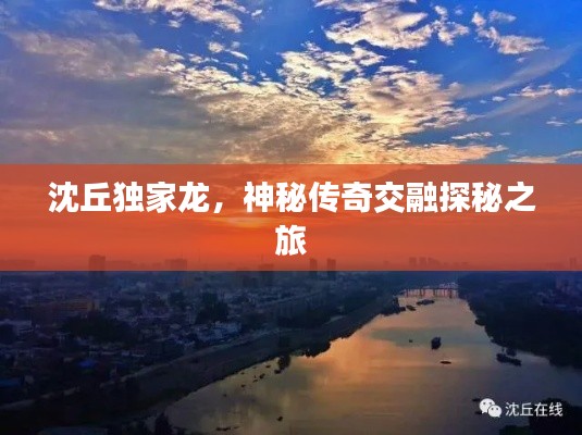 沈丘独家龙，神秘传奇交融探秘之旅