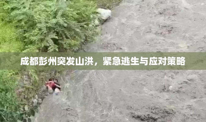 成都彭州突发山洪,紧急逃生与应对策略