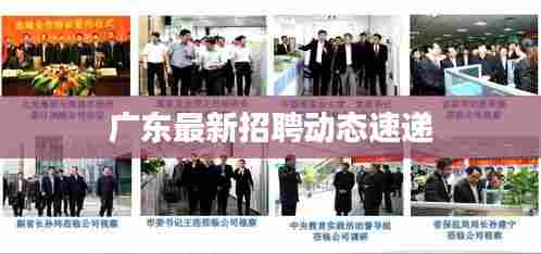 广东最新招聘动态速递