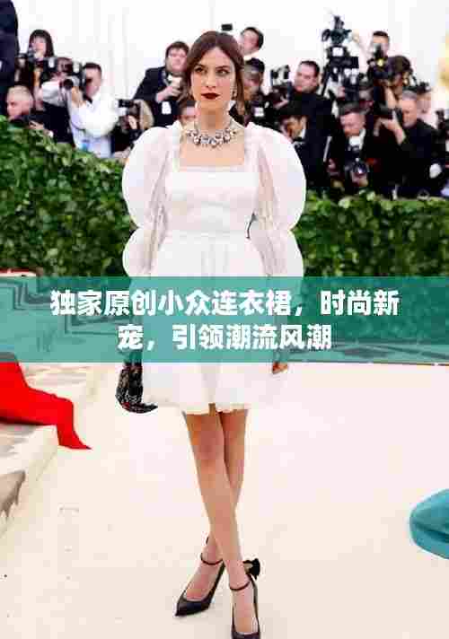 独家原创小众连衣裙,时尚新宠,引领潮流风潮