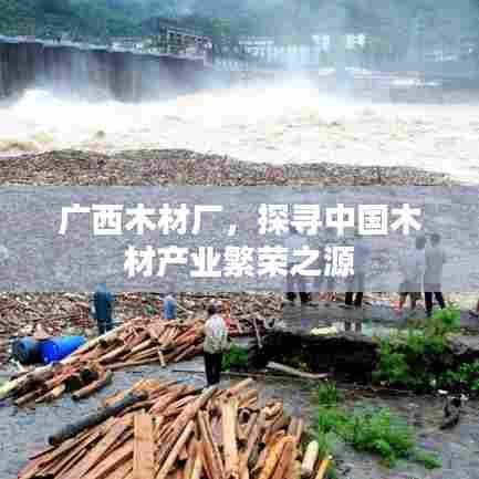 广西木材厂,探寻中国木材产业繁荣之源