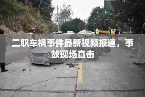 二职车祸事件最新视频报道,事故现场直击