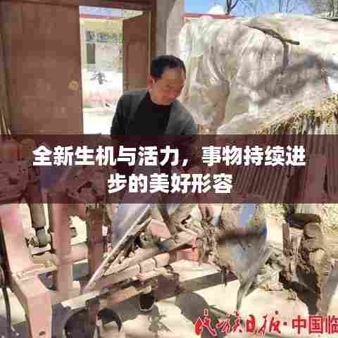 全新生机与活力,事物持续进步的美好形容