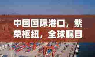 中国国际港口，繁荣枢纽，全球瞩目！
