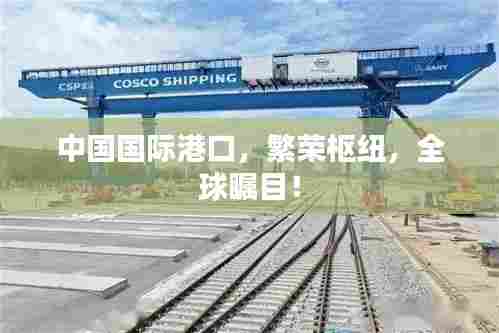 中国国际港口,繁荣枢纽,全球瞩目!