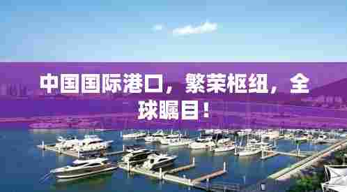 中国国际港口,繁荣枢纽,全球瞩目!