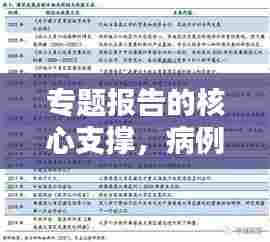 专题报告的核心支撑,病例佐证的重要性分析