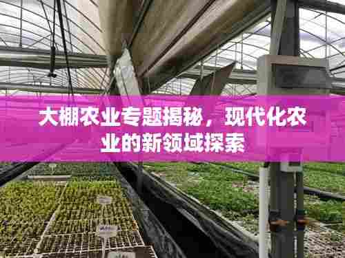 大棚农业专题揭秘，现代化农业的新领域探索
