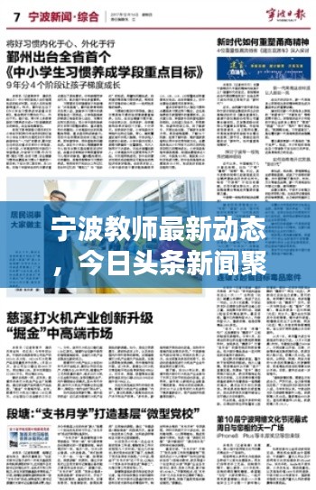 宁波教师最新动态，今日头条新闻聚焦