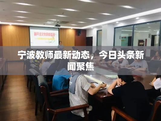 宁波教师最新动态,今日头条新闻聚焦