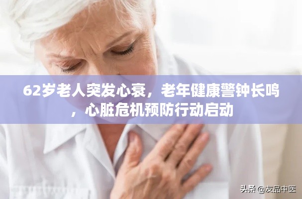 衣无二彩 第6页