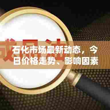 石化市场最新动态,今日价格走势、影响因素及未来展望分析