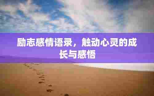 励志感情语录,触动心灵的成长与感悟