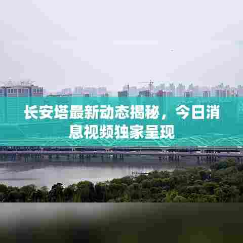 忠心耿耿 第6页