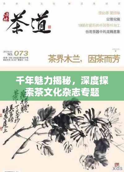 千年魅力揭秘，深度探索茶文化杂志专题