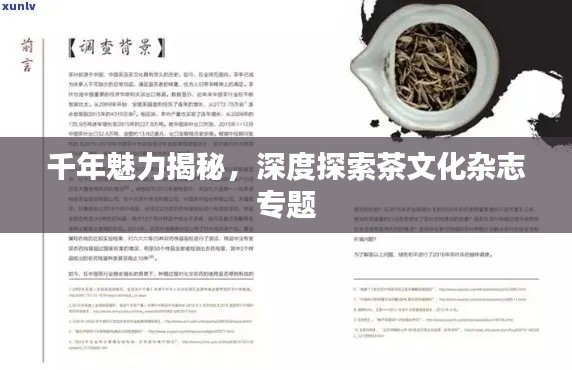 千年魅力揭秘,深度探索茶文化杂志专题