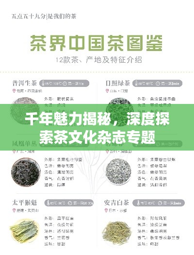 千年魅力揭秘,深度探索茶文化杂志专题