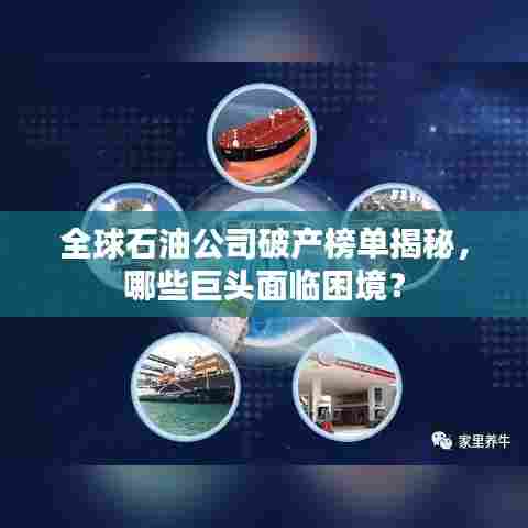 全球石油公司破产榜单揭秘，哪些巨头面临困境？