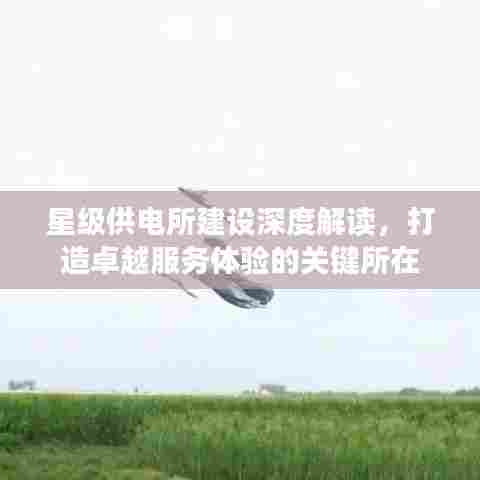 星级供电所建设深度解读，打造卓越服务体验的关键所在