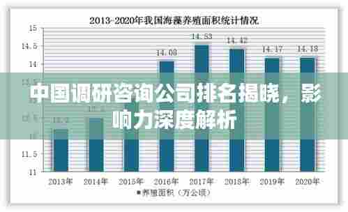 中国调研咨询公司排名揭晓,影响力深度解析