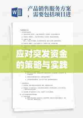应对突发资金的策略与实践方法