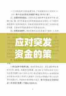 应对突发资金的策略与实践方法