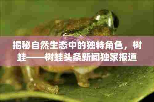揭秘自然生态中的独特角色，树蛙——树蛙头条新闻独家报道