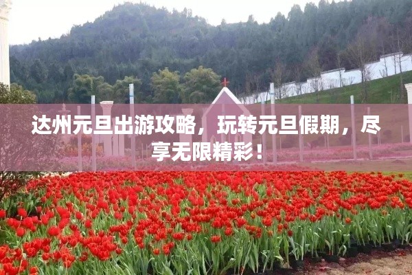 达州元旦出游攻略,玩转元旦假期,尽享无限精彩!