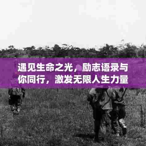遇见生命之光,励志语录与你同行,激发无限人生力量