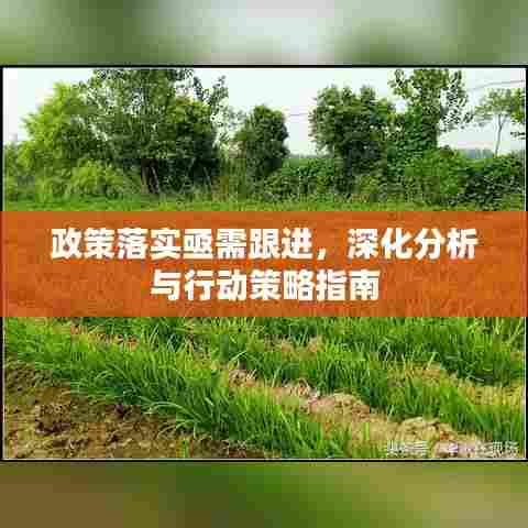 政策落实亟需跟进,深化分析与行动策略指南