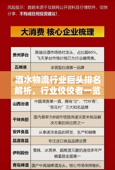 酒水物流行业巨头排名解析,行业佼佼者一览无余