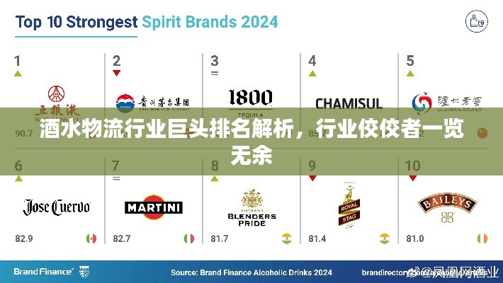 酒水物流行业巨头排名解析，行业佼佼者一览无余