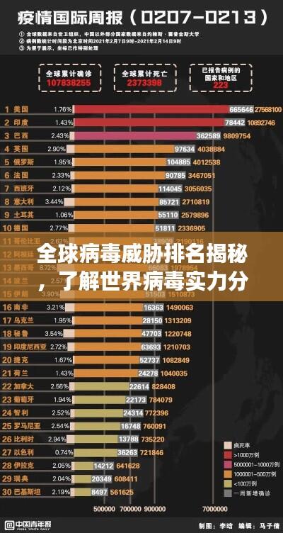 全球病毒威胁排名揭秘,了解世界病毒实力分布