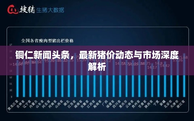 铜仁新闻头条，最新猪价动态与市场深度解析