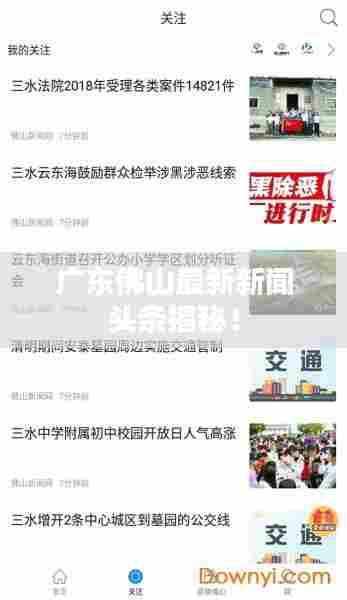 广东佛山最新新闻头条揭秘！
