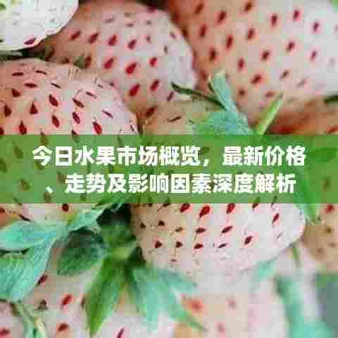 今日水果市场概览，最新价格、走势及影响因素深度解析
