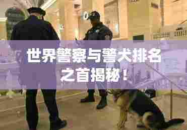 世界警察与警犬排名之首揭秘！