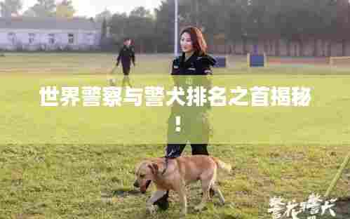 世界警察与警犬排名之首揭秘!