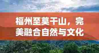 福州至莫干山，完美融合自然与文化的旅游攻略