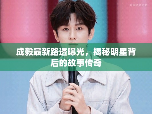 成毅最新路透曝光，揭秘明星背后的故事传奇